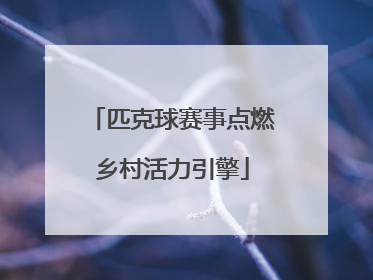 匹克球赛事点燃乡村活力引擎