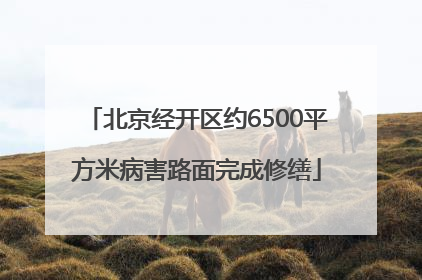 北京经开区约6500平方米病害路面完成修缮