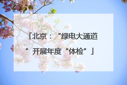 北京：“绿电大通道”开展年度“体检”