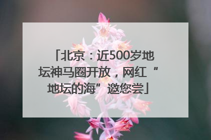 北京：近500岁地坛神马圈开放，网红“地坛的海”邀您尝