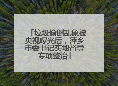 垃圾偷倒乱象被央视曝光后，萍乡市委书记实地督导专项整治