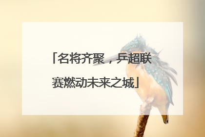 名将齐聚，乒超联赛燃动未来之城
