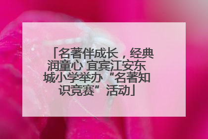 名著伴成长，经典润童心 宜宾江安东城小学举办“名著知识竞赛”活动