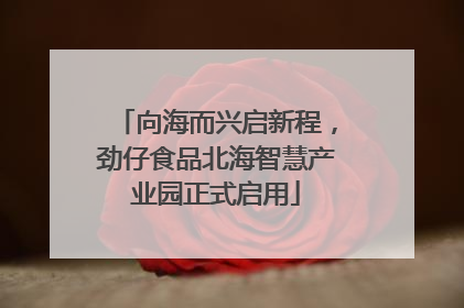 向海而兴启新程，劲仔食品北海智慧产业园正式启用