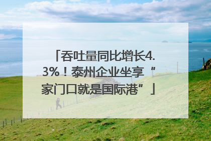 吞吐量同比增长4.3%！泰州企业坐享“家门口就是国际港”