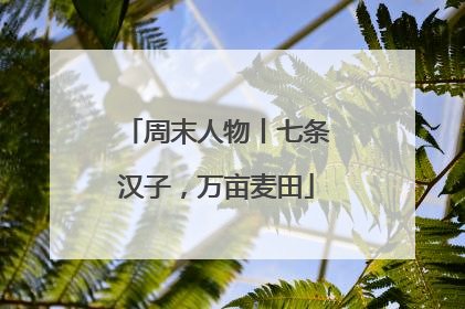 周末人物丨七条汉子，万亩麦田