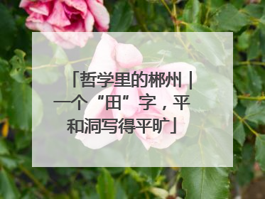 哲学里的郴州｜一个“田”字，平和洞写得平旷