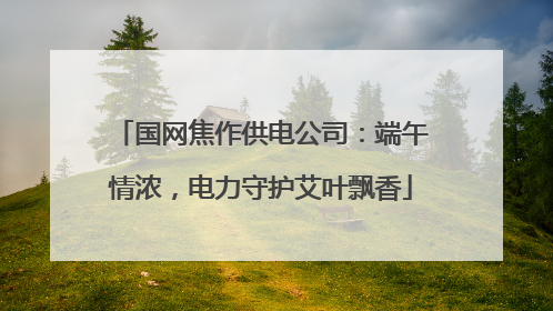 国网焦作供电公司：端午情浓，电力守护艾叶飘香
