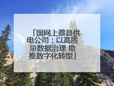 国网上蔡县供电公司：以高质量数据治理 助推数字化转型
