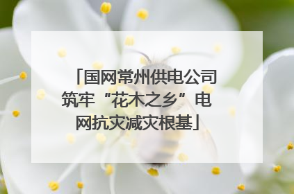 国网常州供电公司筑牢“花木之乡”电网抗灾减灾根基