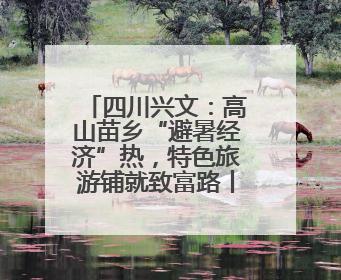 四川兴文：高山苗乡“避暑经济”热，特色旅游铺就致富路丨“石榴花开”四川行⑧
