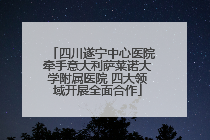 四川遂宁中心医院牵手意大利萨莱诺大学附属医院 四大领域开展全面合作