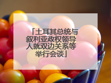 土耳其总统与叙利亚政权领导人就双边关系等举行会谈