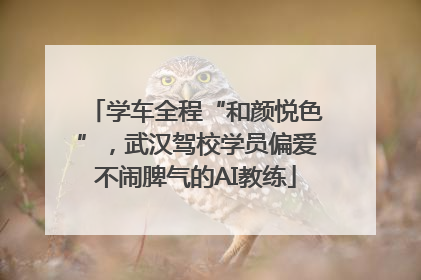 学车全程“和颜悦色”，武汉驾校学员偏爱不闹脾气的AI教练