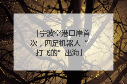 宁波空港口岸首次，四足机器人“打飞的”出海