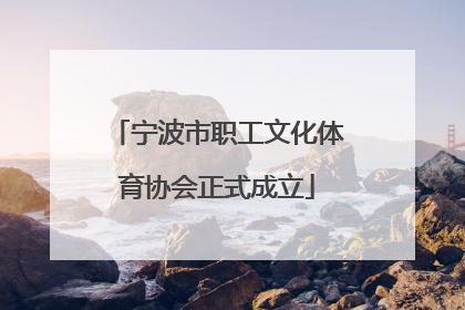 宁波市职工文化体育协会正式成立