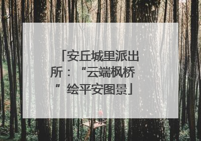安丘城里派出所：“云端枫桥”绘平安图景