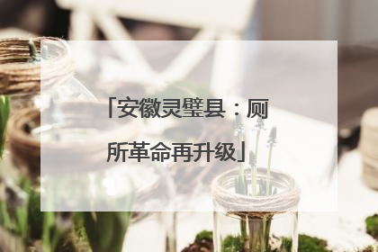 安徽灵璧县：厕所革命再升级