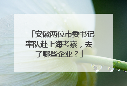 安徽两位市委书记率队赴上海考察，去了哪些企业？