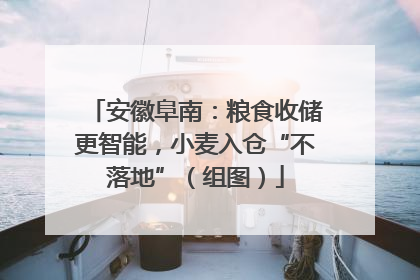 安徽阜南：粮食收储更智能，小麦入仓“不落地”（组图）