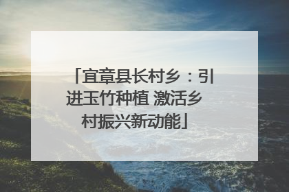 宜章县长村乡：引进玉竹种植 激活乡村振兴新动能