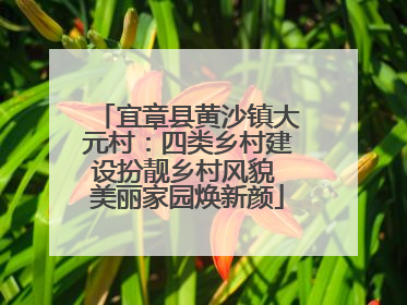宜章县黄沙镇大元村：四类乡村建设扮靓乡村风貌 美丽家园焕新颜