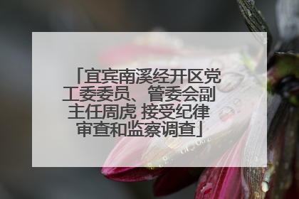宜宾南溪经开区党工委委员、管委会副主任周虎 接受纪律审查和监察调查