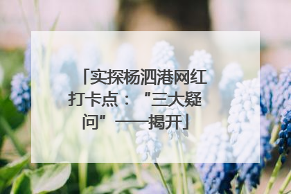实探杨泗港网红打卡点：“三大疑问”一一揭开