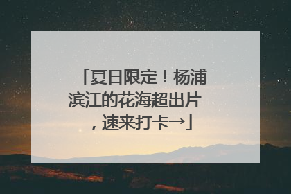 夏日限定！杨浦滨江的花海超出片，速来打卡→