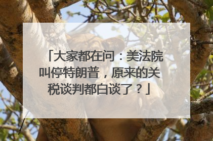 大家都在问：美法院叫停特朗普，原来的关税谈判都白谈了？