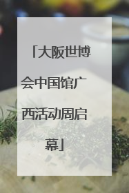 大阪世博会中国馆广西活动周启幕