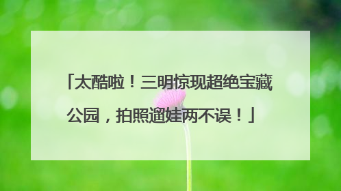 太酷啦！三明惊现超绝宝藏公园，拍照遛娃两不误！