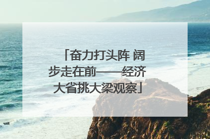 奋力打头阵 阔步走在前——经济大省挑大梁观察