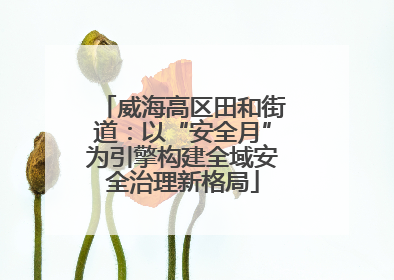 威海高区田和街道：以“安全月”为引擎构建全域安全治理新格局