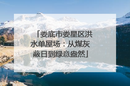 娄底市娄星区洪水单屋场：从煤灰蔽日到绿意盎然