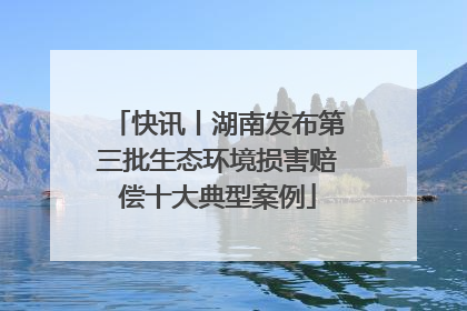 快讯丨湖南发布第三批生态环境损害赔偿十大典型案例