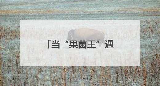 当“果菌王”遇上太空基因，云南人认证的好吃！