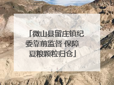 微山县留庄镇纪委靠前监督 保障夏粮颗粒归仓
