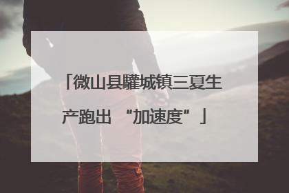 微山县驩城镇三夏生产跑出 “加速度”