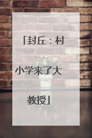 封丘：村小学来了大教授