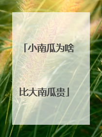 小南瓜为啥比大南瓜贵