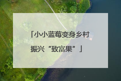 小小蓝莓变身乡村振兴“致富果”