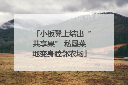 小板凳上结出“共享果” 私垦菜地变身睦邻农场
