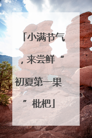 小满节气，来尝鲜“初夏第一果”枇杷