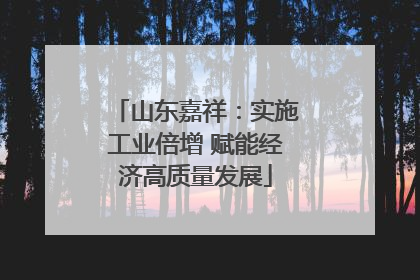 山东嘉祥：实施工业倍增 赋能经济高质量发展