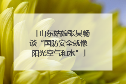 山东姑娘张昊畅谈“国防安全就像阳光空气和水”