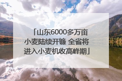 山东6000多万亩小麦陆续开镰 全省将进入小麦机收高峰期