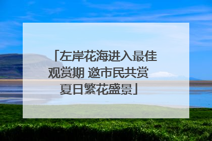 左岸花海进入最佳观赏期 邀市民共赏夏日繁花盛景