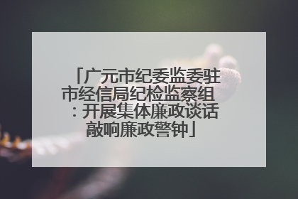 广元市纪委监委驻市经信局纪检监察组：开展集体廉政谈话 敲响廉政警钟