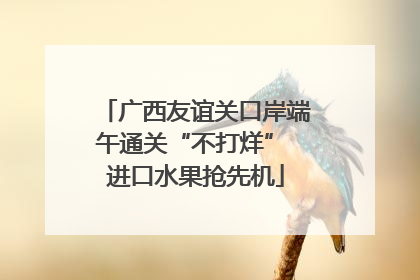 广西友谊关口岸端午通关“不打烊” 进口水果抢先机
